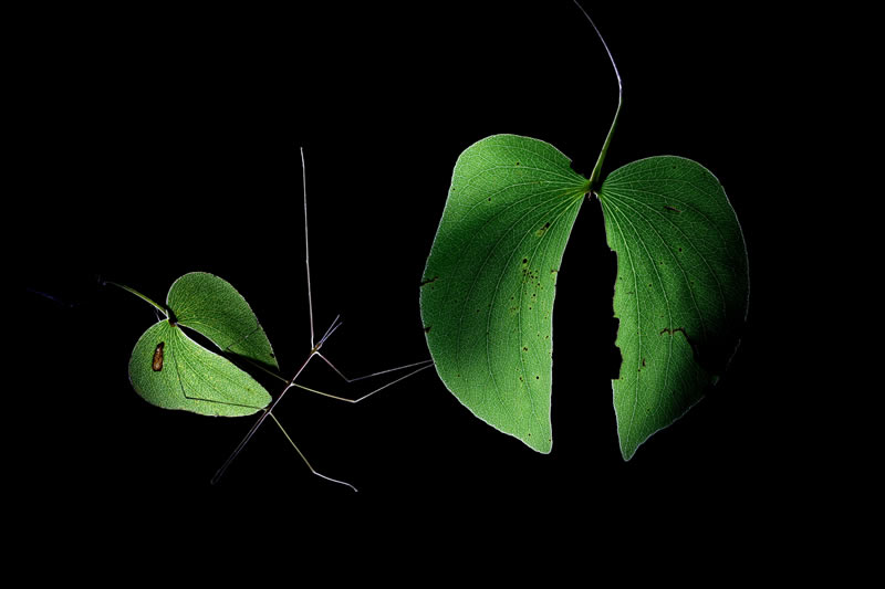 South African Photographer Of The Year 2023 Winners