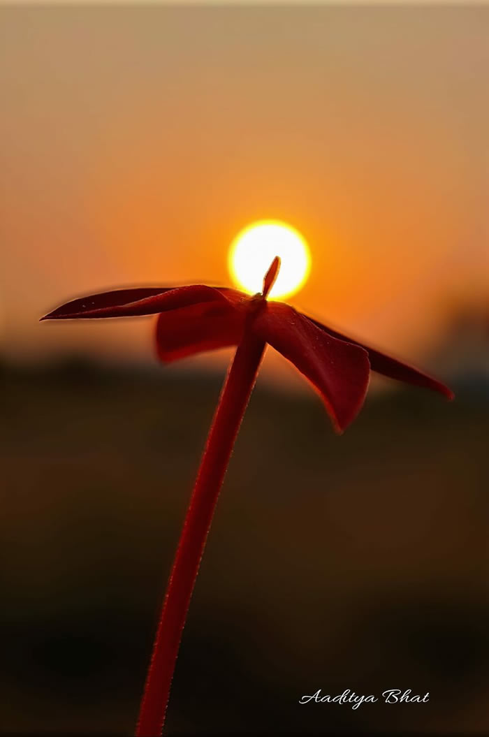 Silhouettes And Stories During Sunset By Aaditya Shrirang Bhat