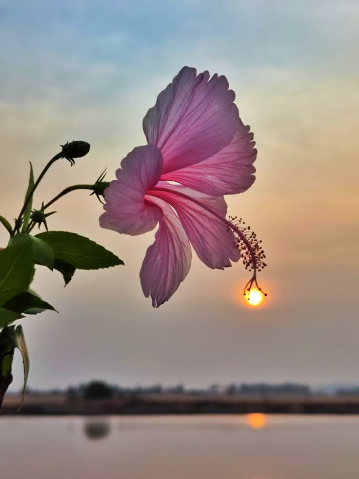 Silhouettes And Stories During Sunset By Aaditya Shrirang Bhat