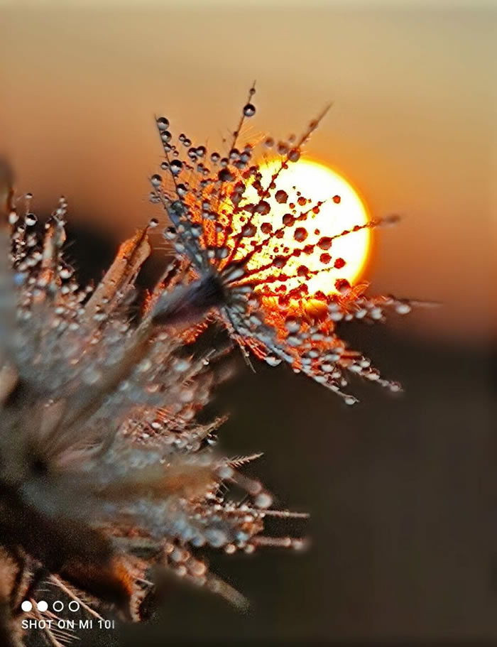 Silhouettes And Stories During Sunset By Aaditya Shrirang Bhat