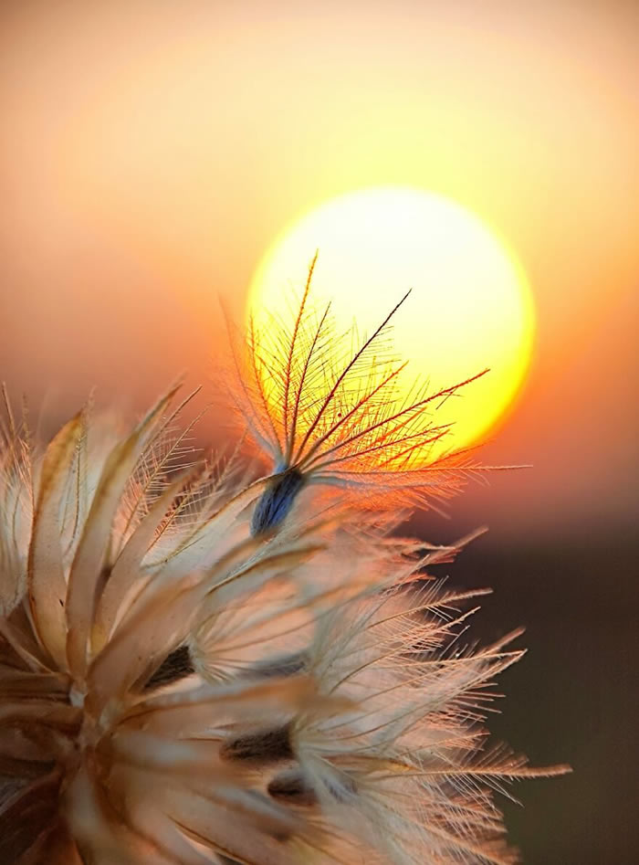 Silhouettes And Stories During Sunset By Aaditya Shrirang Bhat