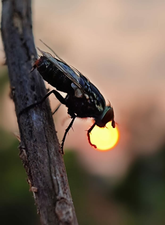 Silhouettes And Stories During Sunset By Aaditya Shrirang Bhat