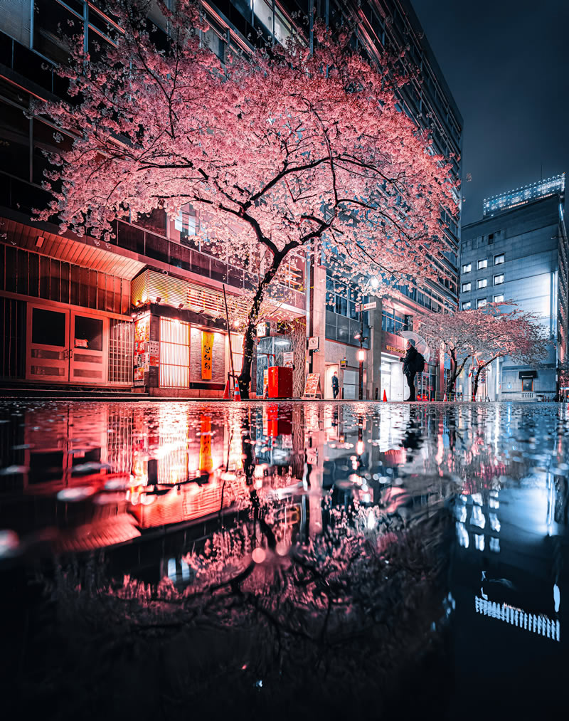 Tokyo Rain Photography By Junya Watanabe