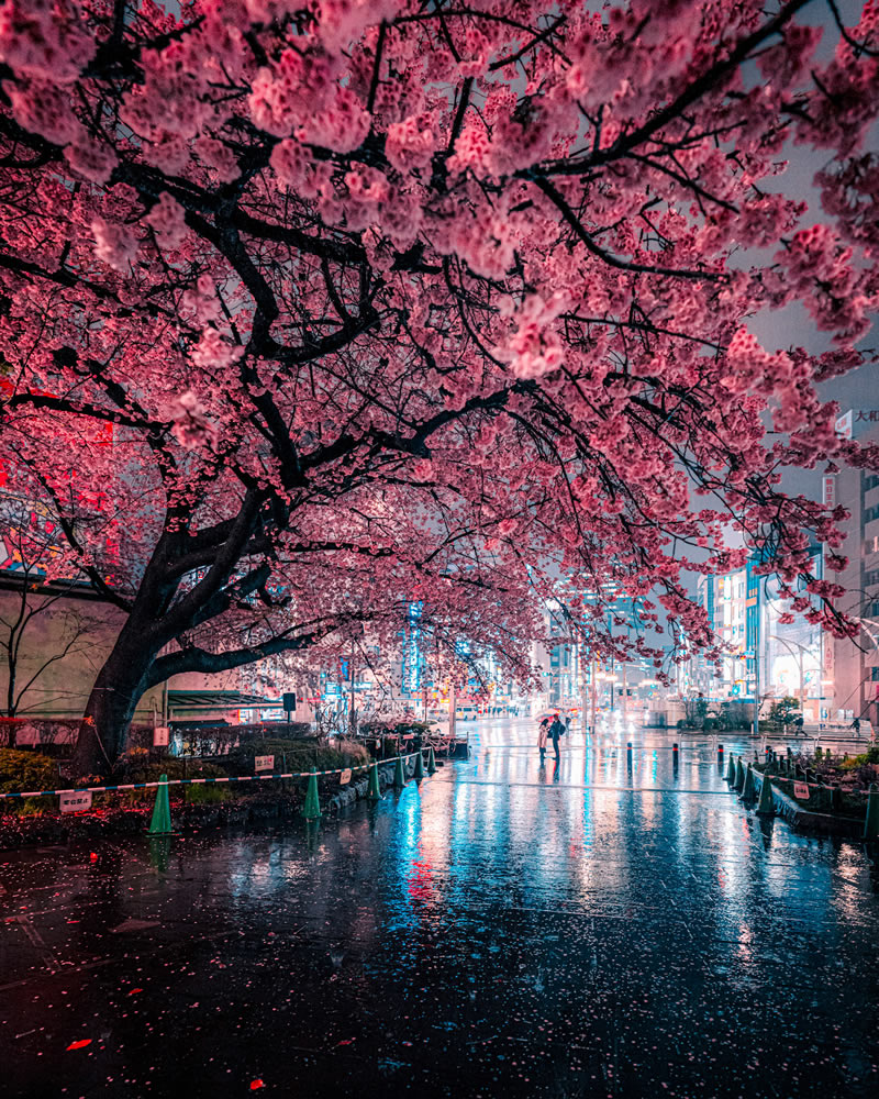 Tokyo Rain Photography By Junya Watanabe