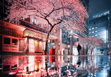 Tokyo Rain Photography By Junya Watanabe