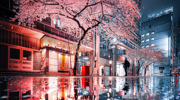 Tokyo Rain Photography By Junya Watanabe