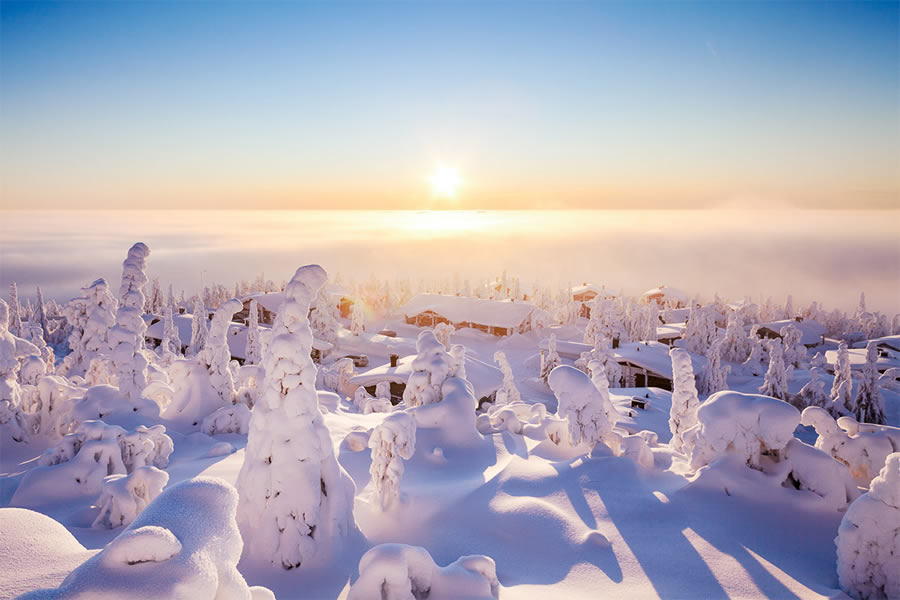 Beautiful Landscapes Of Winter