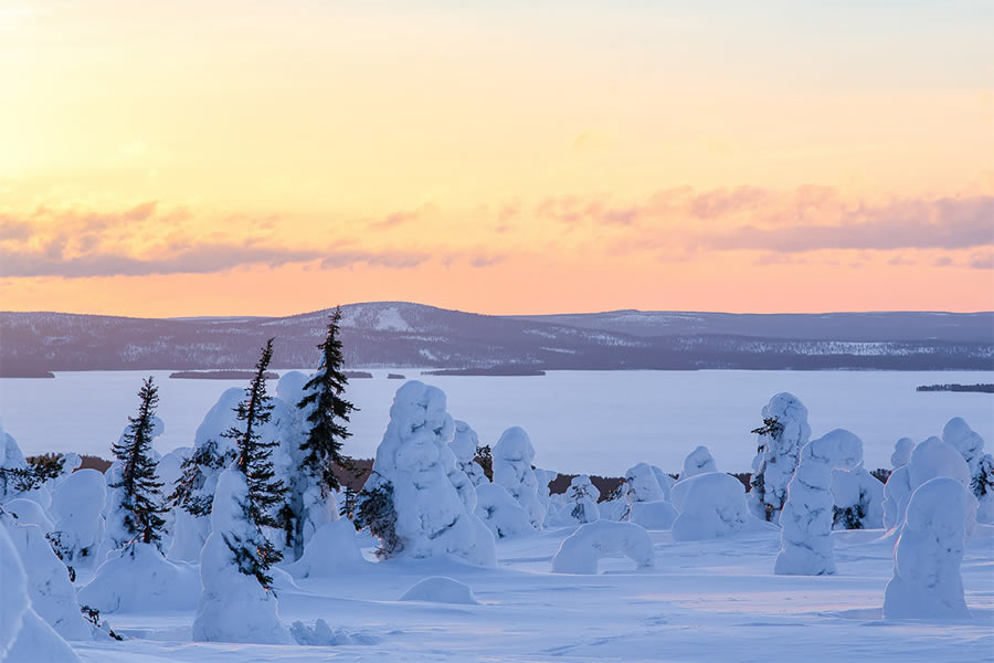 Beautiful Landscapes Of Winter