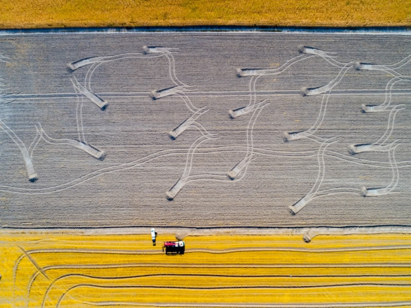 Abstract Drone Photo Awards Winners