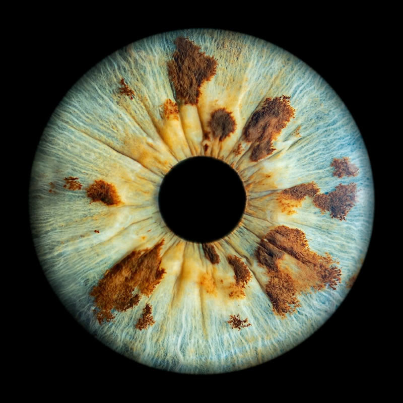 The Beauty Of The Human Eye Captured In Immense Detail By Iris Photography