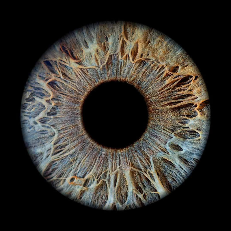 The Beauty Of The Human Eye Captured In Immense Detail By Iris Photography