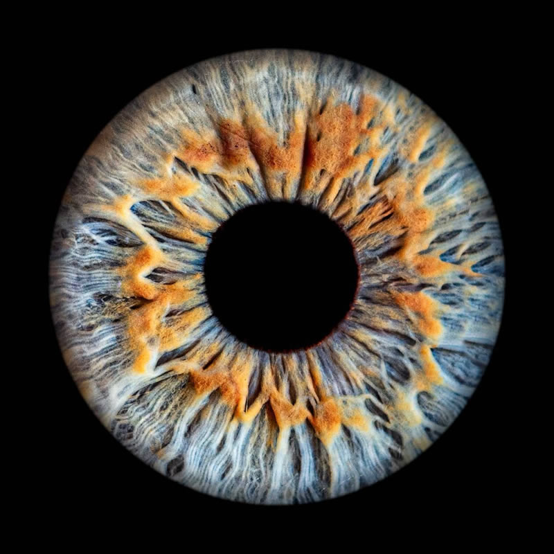 The Beauty Of The Human Eye Captured In Immense Detail By Iris Photography