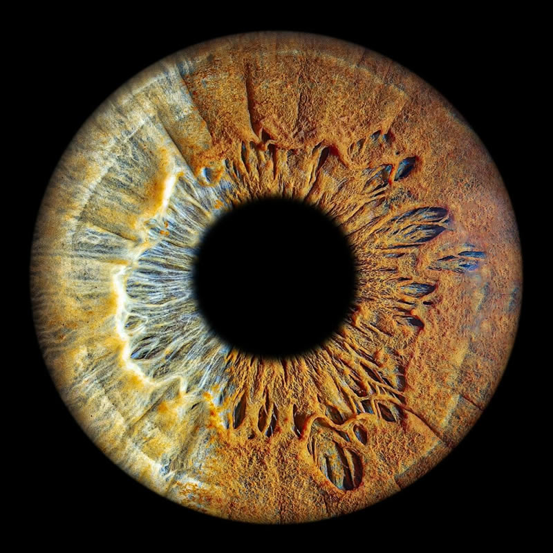 The Beauty Of The Human Eye Captured In Immense Detail By Iris Photography