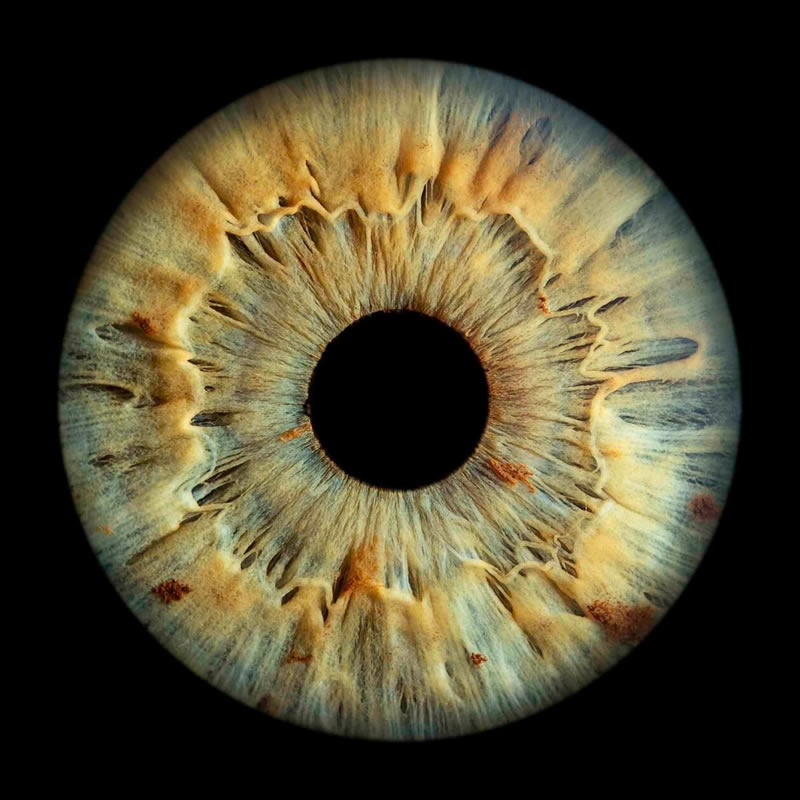 The Beauty Of The Human Eye Captured In Immense Detail By Iris Photography