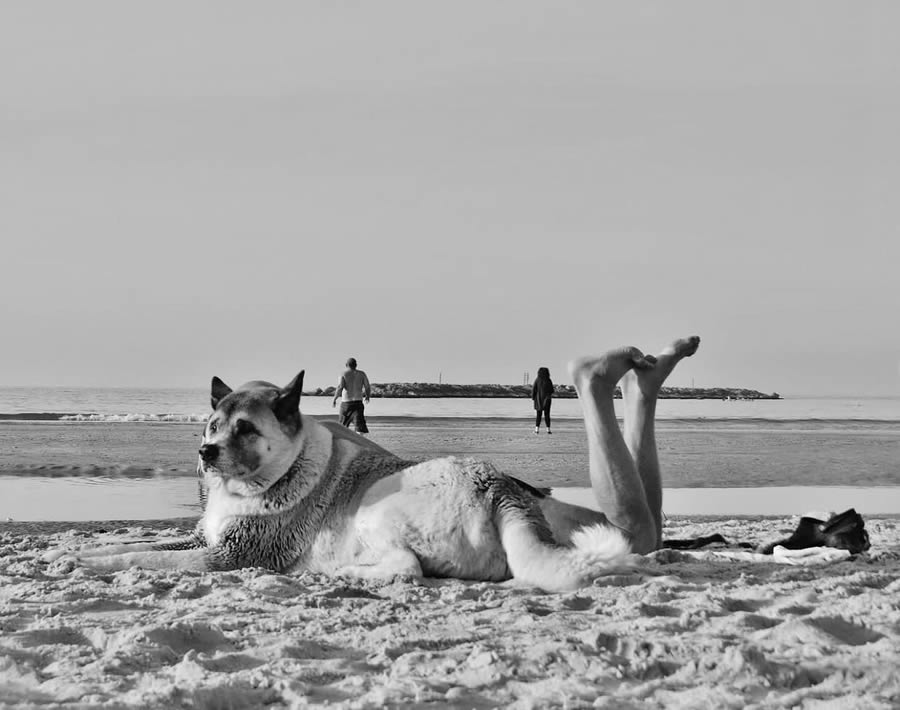 Striking Black And White Street Photos For Your Inspiration