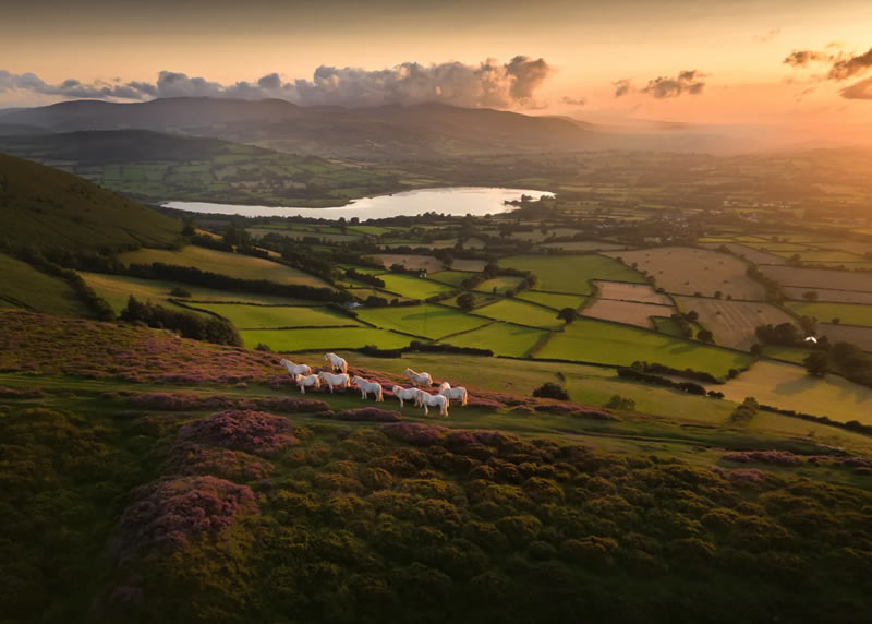 Drone British Photography Awards Winners