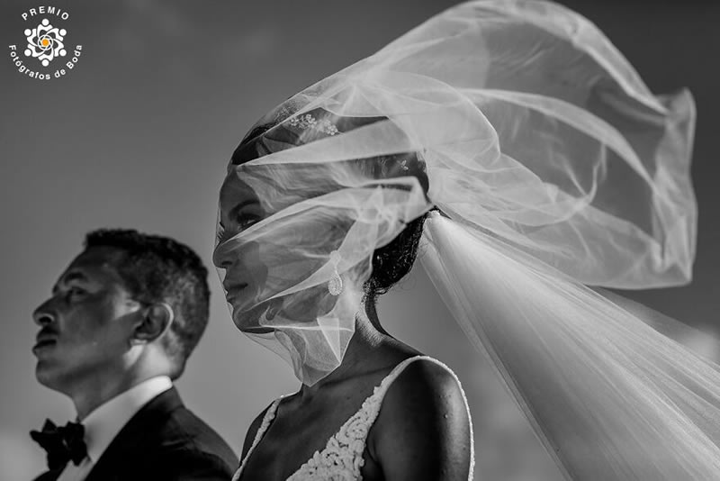 FdB Wedding Photography Awards