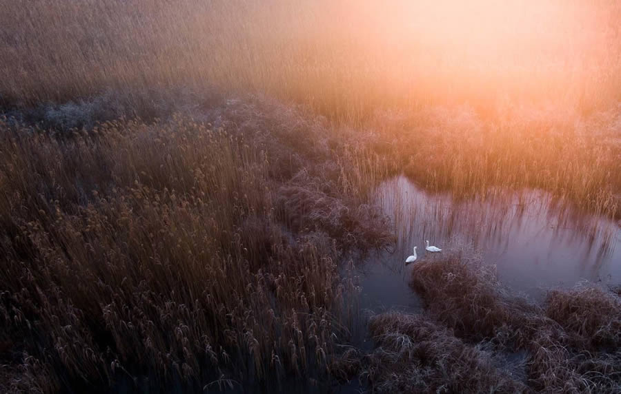 Bird Photography Winners - GDT Nature Photographer Of The Year