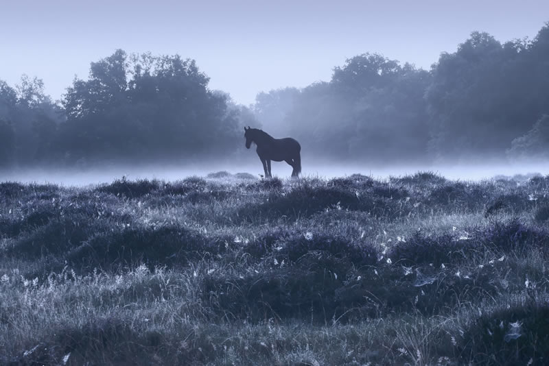 Landscape Photography Of Winter By Kilian Schonberger