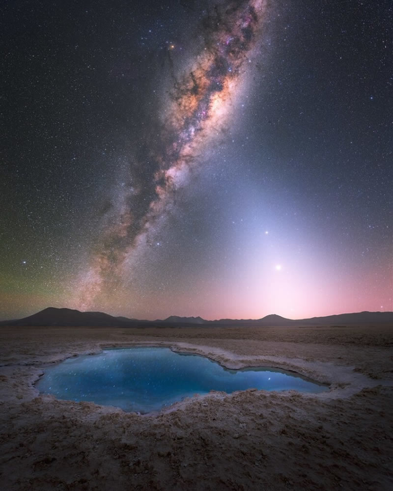 Milky Photographer Of The Year 2024 Winners