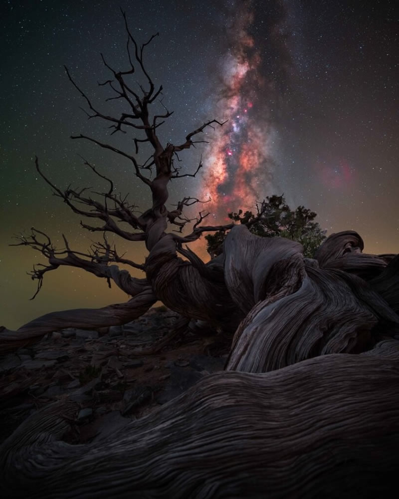 Milky Photographer Of The Year 2024 Winners