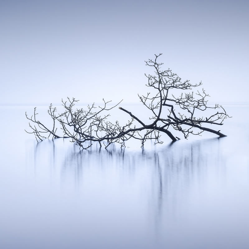 Refocus Minimalism Photography Awards