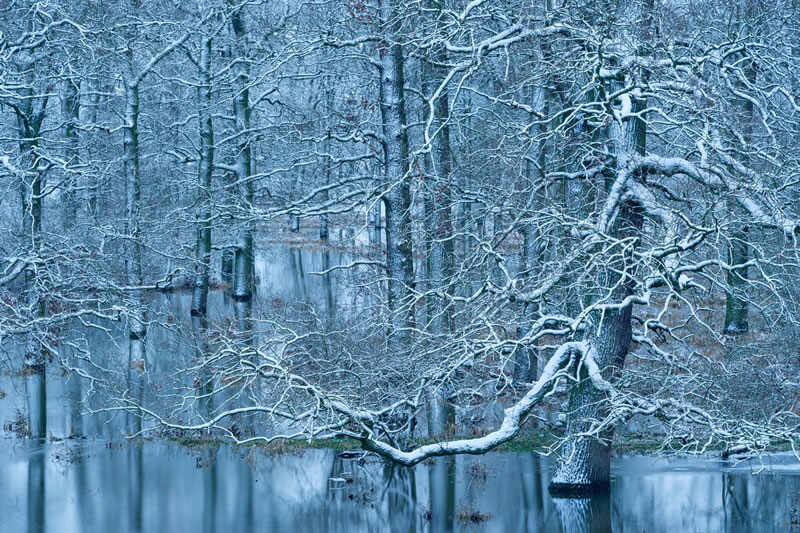 GDT Nature Photography Awards Winners