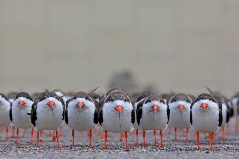 GDT Nature Photography Awards Winners