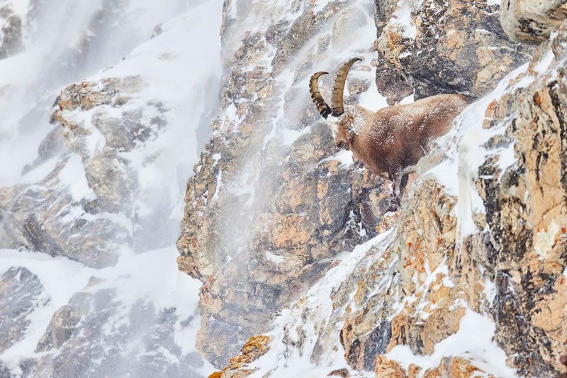 GDT Nature Photography Awards Winners