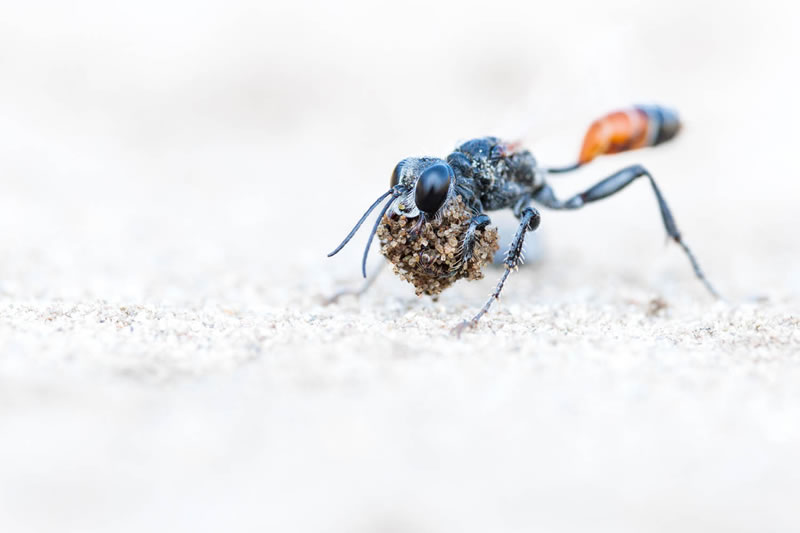 GDT Nature Photography Awards Winners