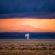 Beautiful Landscape Photos Of New Mexico By Navid Baraty