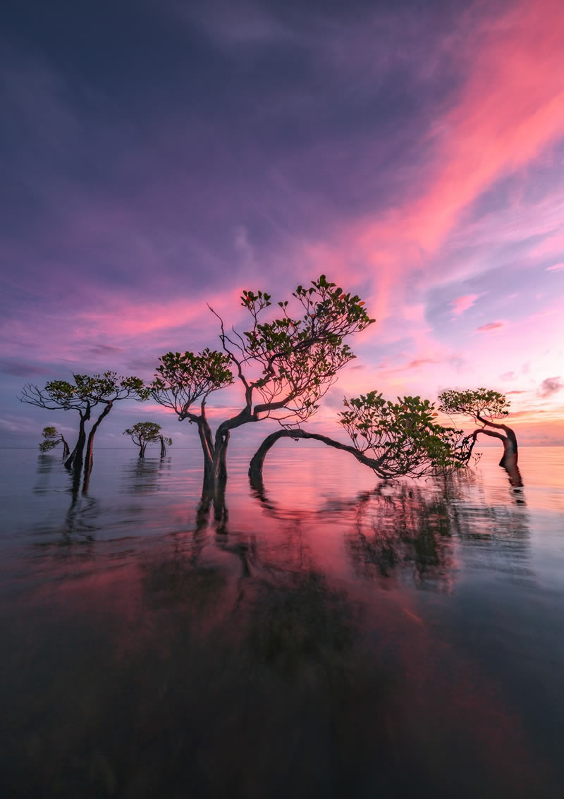 Landscape reFocus Color Photography Awards