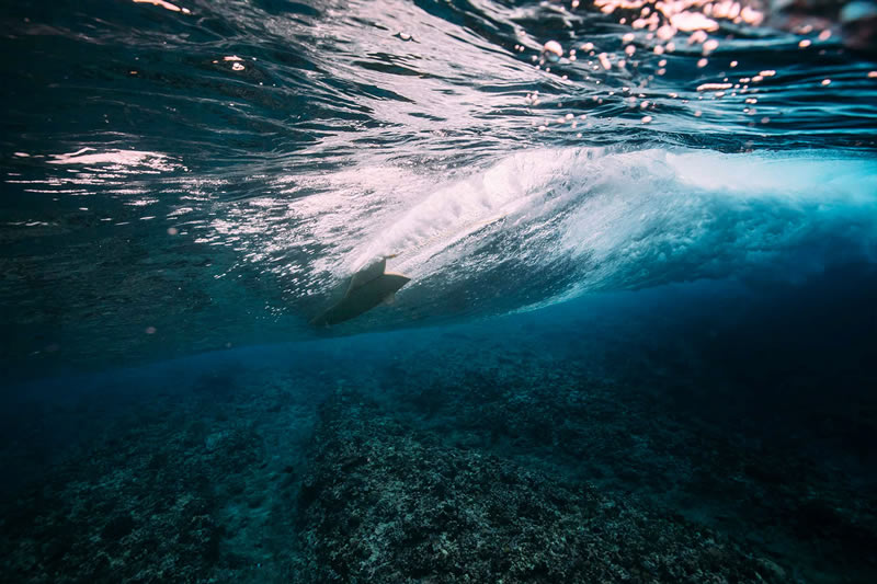 Breathtaking Underwater Photography By Matt Porteous