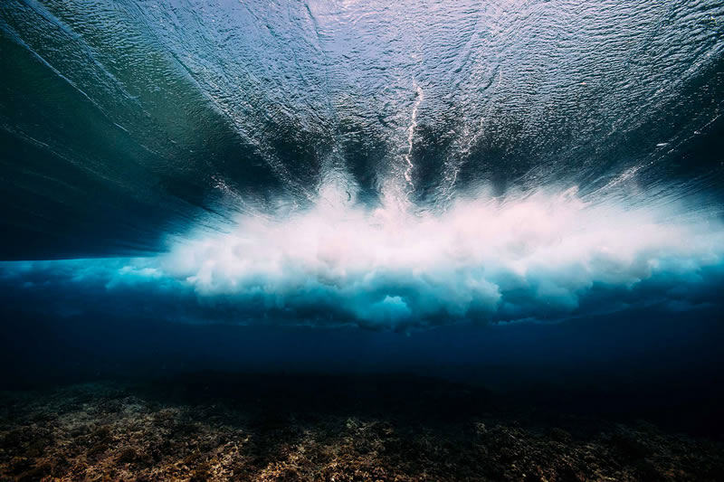 Breathtaking Underwater Photography By Matt Porteous