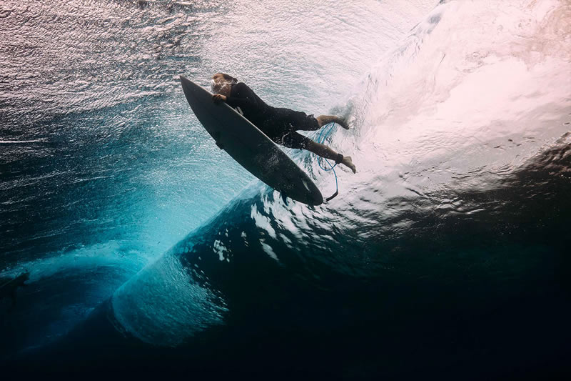 Breathtaking Underwater Photography By Matt Porteous