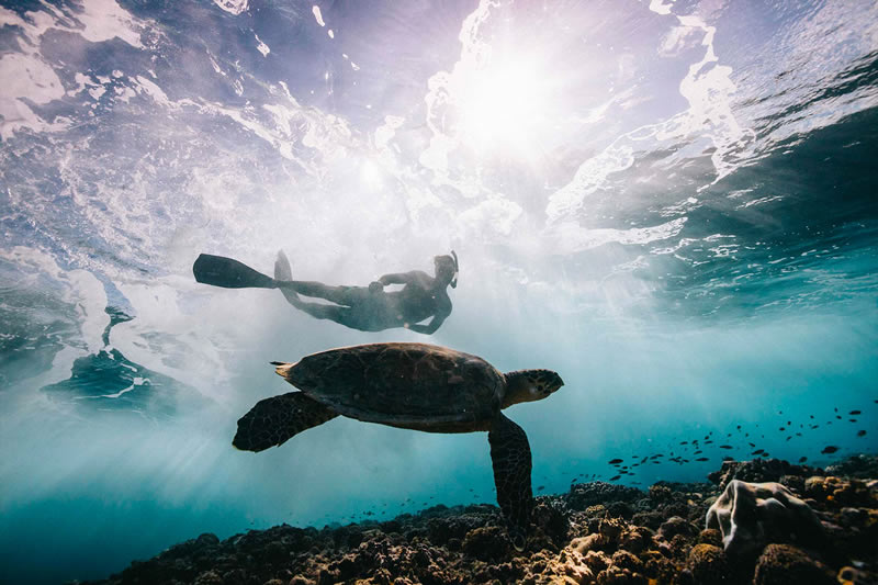 Breathtaking Underwater Photography By Matt Porteous