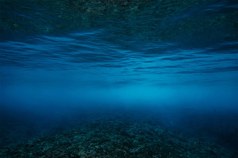 Breathtaking Underwater Photography By Matt Porteous