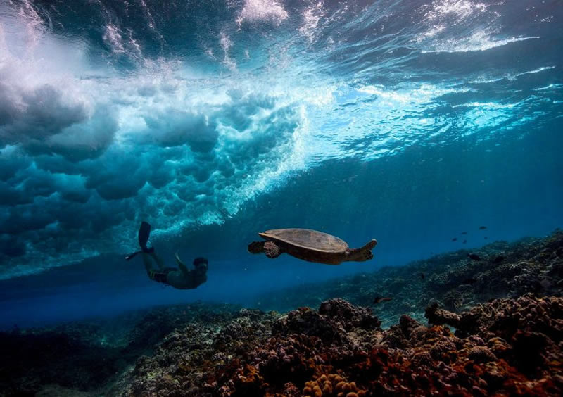 Breathtaking Underwater Photography By Matt Porteous