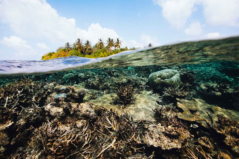 Breathtaking Underwater Photography By Matt Porteous