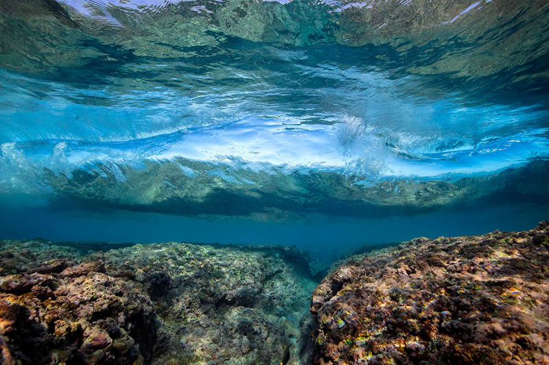 Breathtaking Underwater Photography By Matt Porteous