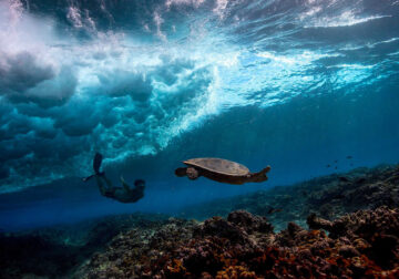 Breathtaking Underwater Photography By Matt Porteous