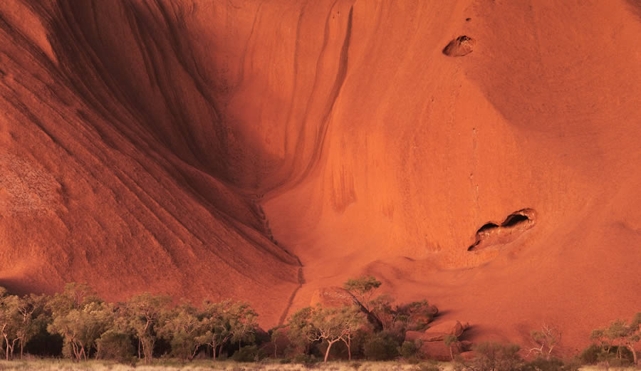 1839 Nature Color Photography Awards