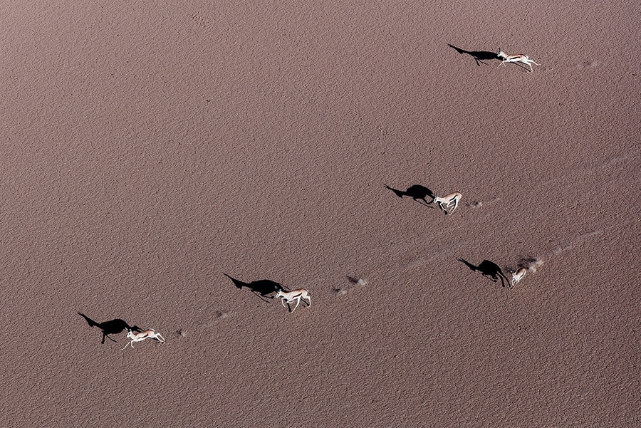 Breathtaking Aerial Nature Photos Of South Africa By Zack Seckler