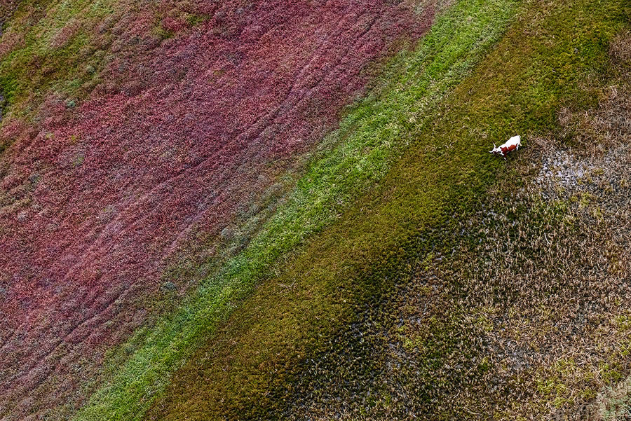 Breathtaking Aerial Nature Photos Of South Africa By Zack Seckler