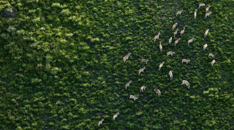 Breathtaking Aerial Nature Photos Of South Africa By Zack Seckler