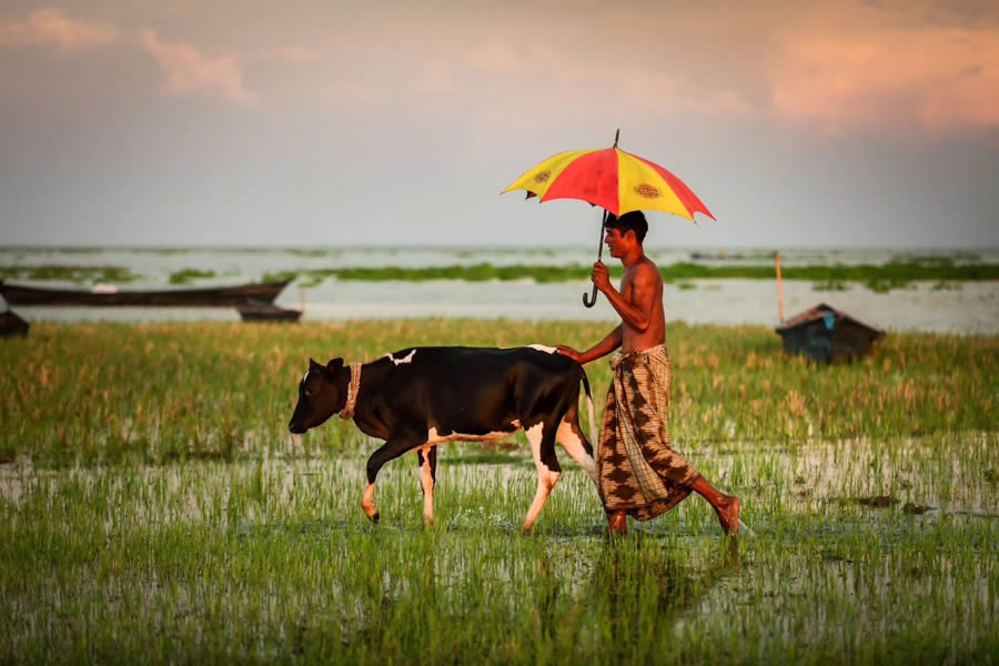 Everyday Life In Bangladesh By Mou Aysha