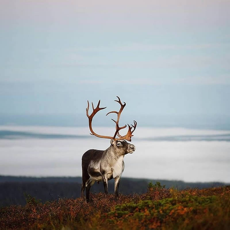 Beautiful Nature Photos Of Finland