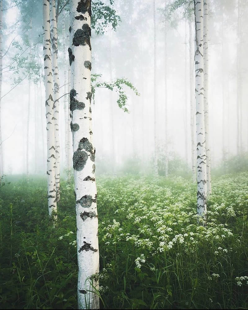 Beautiful Nature Photos Of Finland