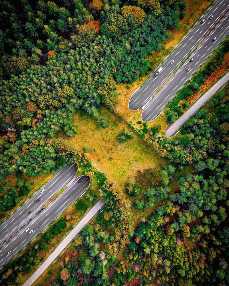 Beautiful And Colorful Netherlands Photos