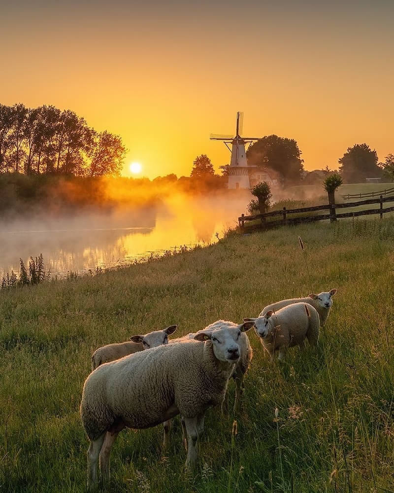 Beautiful And Colorful Netherlands Photos